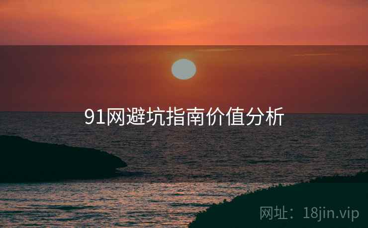 91网避坑指南价值分析
