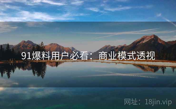 91爆料用户必看：商业模式透视