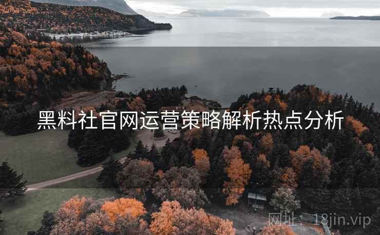 黑料社官网运营策略解析热点分析