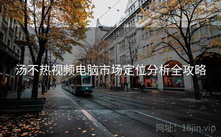 汤不热视频电脑市场定位分析全攻略