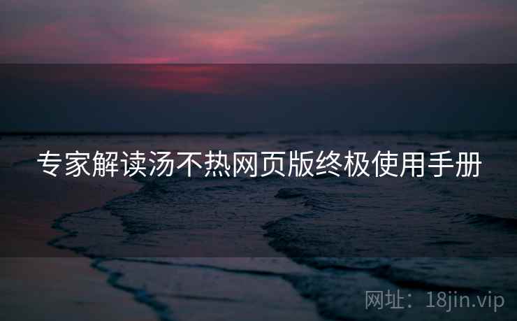 专家解读汤不热网页版终极使用手册