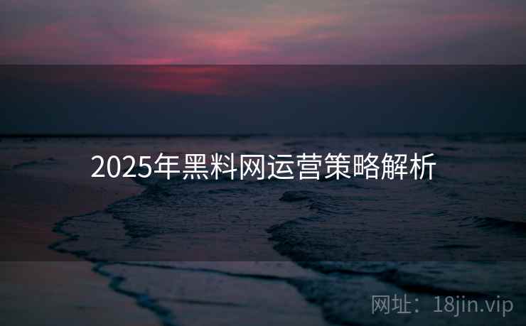 2025年黑料网运营策略解析