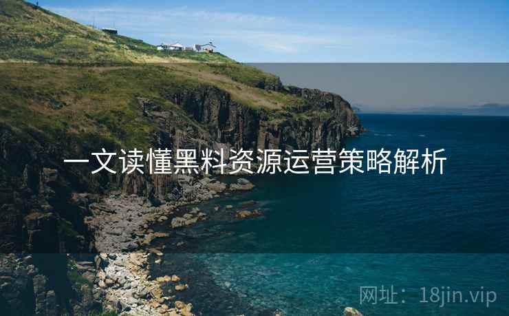 一文读懂黑料资源运营策略解析