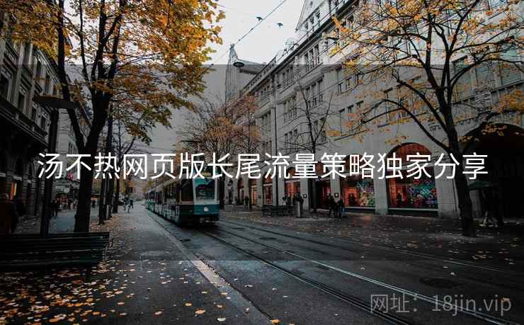 汤不热网页版长尾流量策略独家分享